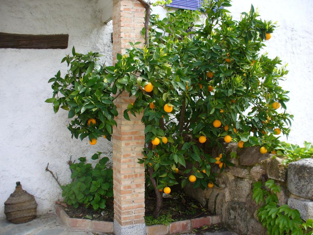 Hotel Labranza San Martín de Valdeiglesias Buitenkant foto